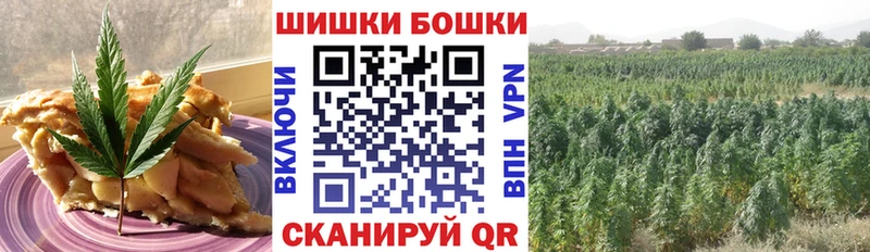 закладка Уржум Cannafood конопля