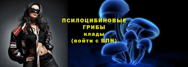 стаф Осинники