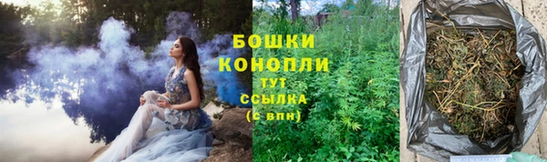 шишки Абинск