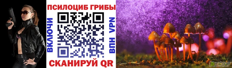 Галлюциногенные грибы Psilocybe  купить наркотик  Уржум 
